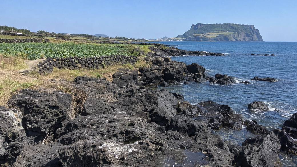 Coastal basalt rocks and green fields on Jeju's east coast with Seongsan Ilchulbong in the distance under a clear sky